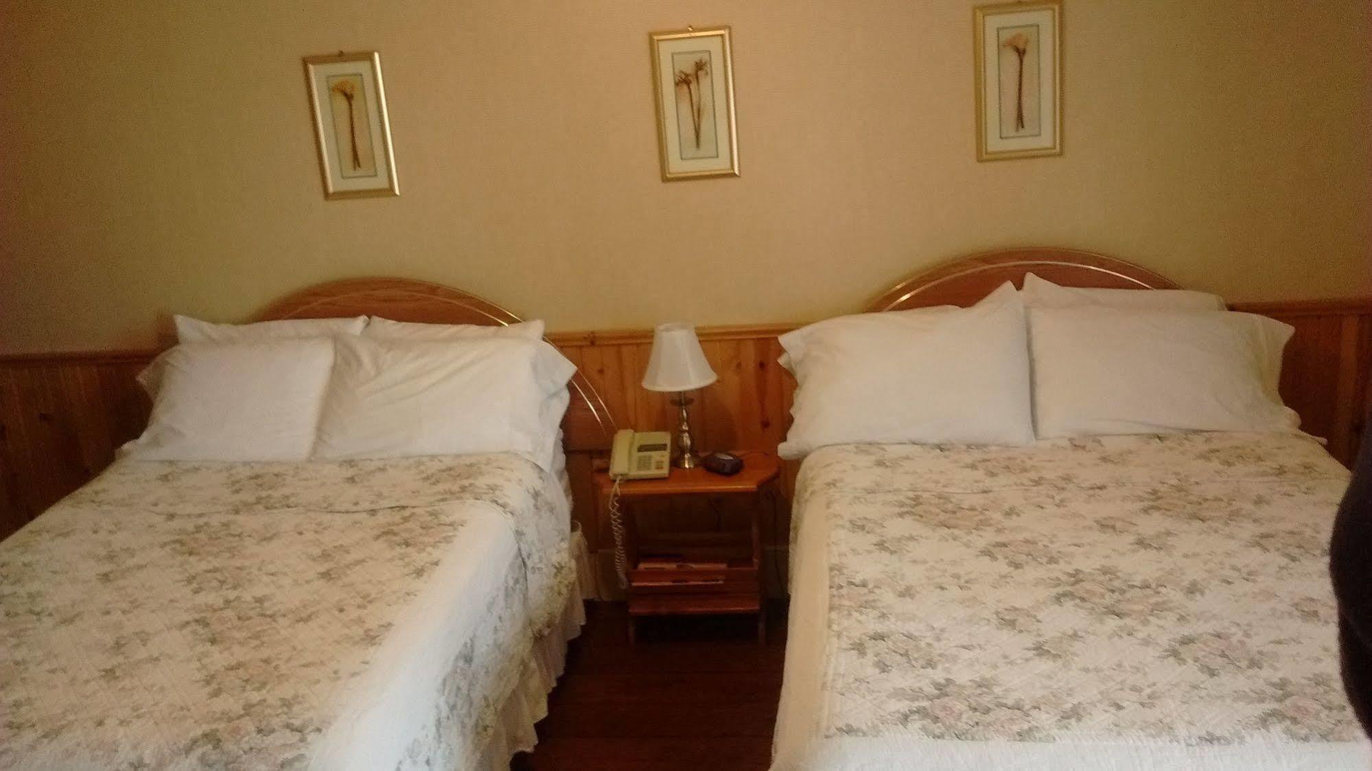 Mackenzie Motel & Cottages Shelburne Ngoại thất bức ảnh