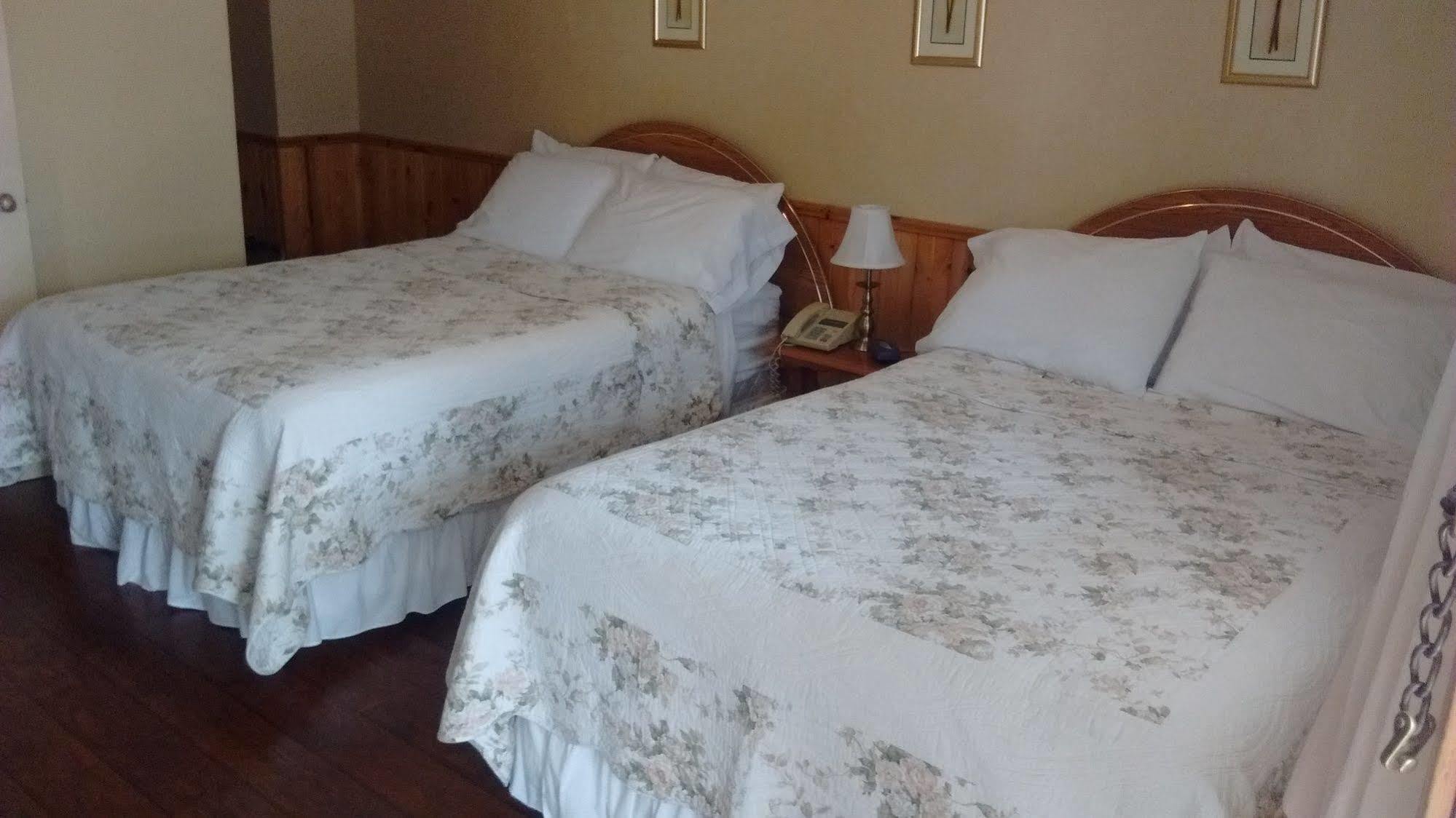 Mackenzie Motel & Cottages Shelburne Ngoại thất bức ảnh